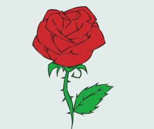 cách vẽ bông hoa