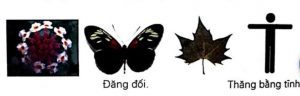 trang trí hình vuông