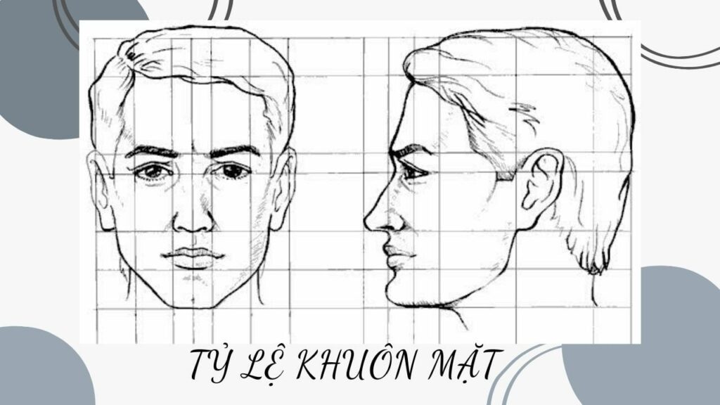 Hướng dẫn Cách vẽ tỉ lệ khuôn mặt người dễ hiểu và chi tiết với nhiều hình  ảnh minh họa