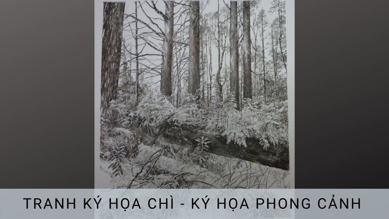 tranh ký họa chì - ký họa phong cảnh