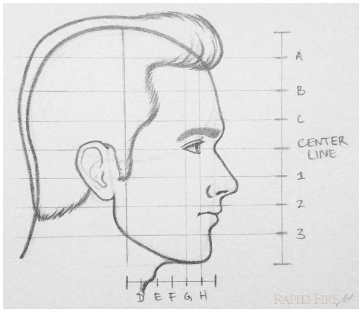 Профиль поэтапно. Лицо сбоку рисунок схема. Портрет человека карандашом сбоку. Нарисовать лицо вид сбоку. Портрет человека в профиль.