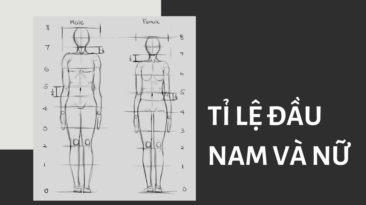 Tỉ lệ đầu nam và nữ